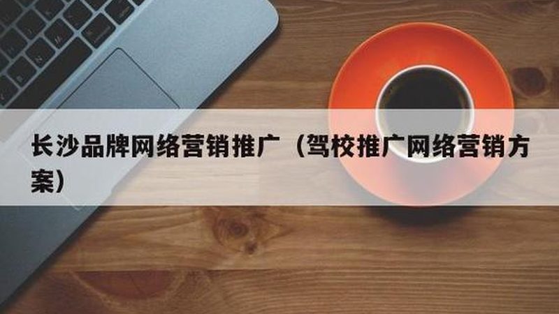 在选择网络营销公司时，要关注其过往案例和实际数据。可以通过以下方式评估：